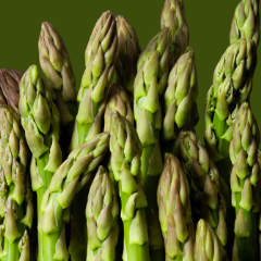 Asparagus