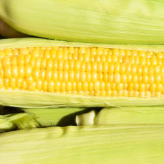 Corn