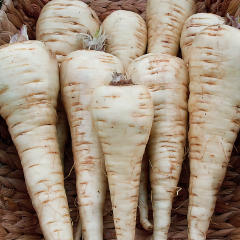 Parsnips