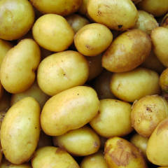 Potatoes