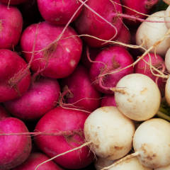 Turnips