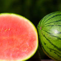 Watermelon