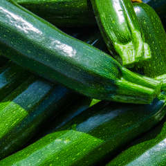 Zucchini